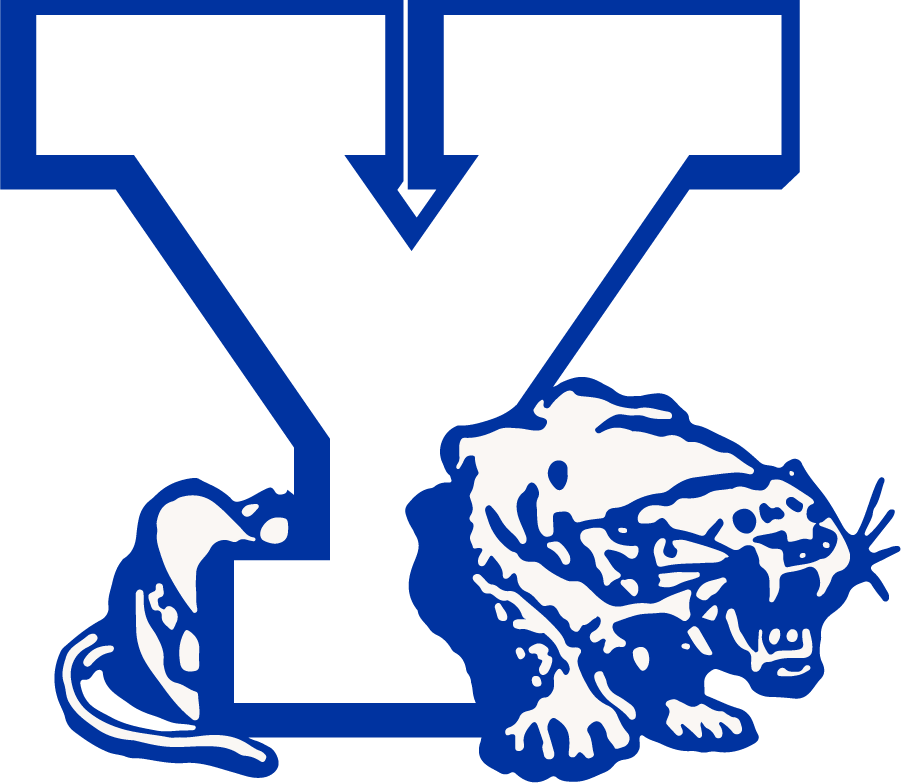 Brigham Young Cougars 1972-1982 Secondary Logo DIY iron on transfer (heat transfer)